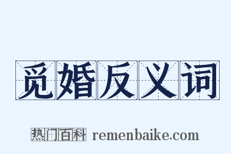 觅婚反义词是什么意思的图片